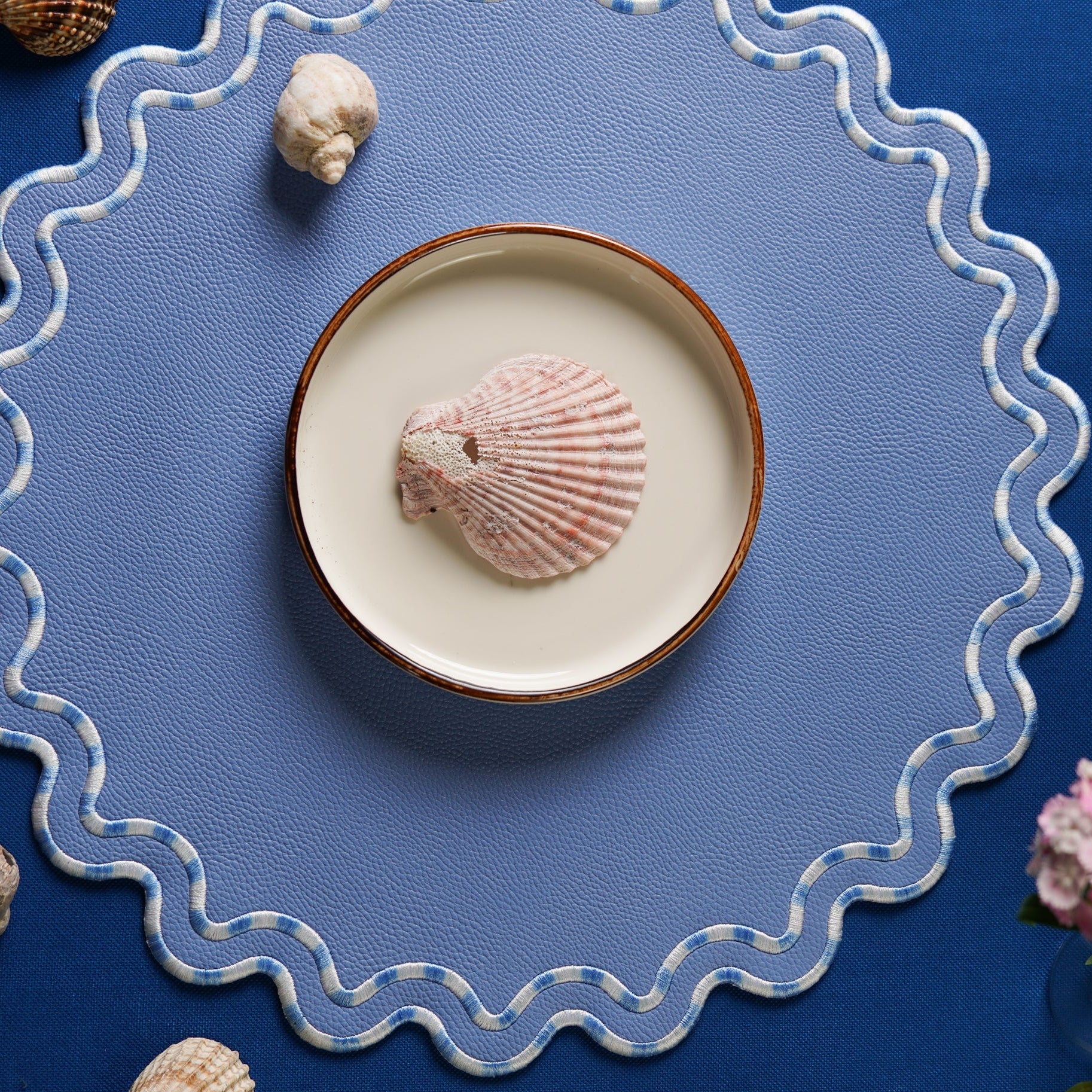 Shell on a ceramic plate with a blue textured background