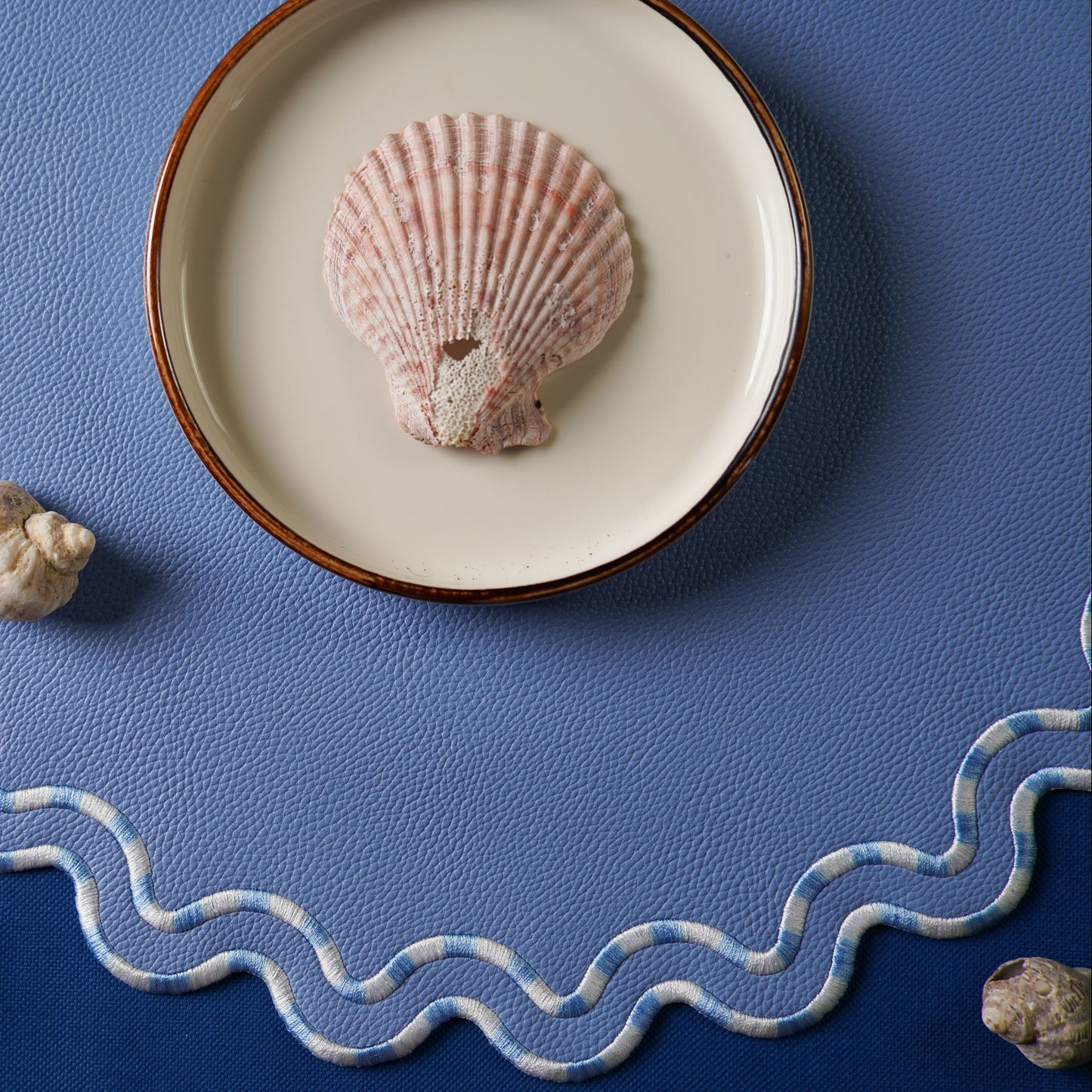 Shell on a plate with a blue textured background