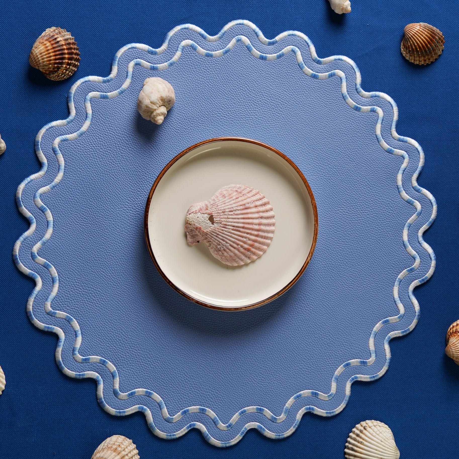 Shell on a ceramic plate with a blue background